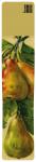 M1022-183 Sketch with pears
