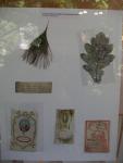 From the collection of Hartong van Lohuizen - items used as bookmarks, found in the books of the 19th century