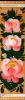Bookmark Flowers in Volkhov Style